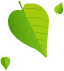 about-two-shape-4.png