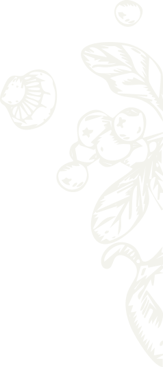 about-two-shape-5.png