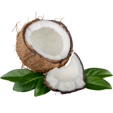 coconut