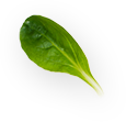 deal-one-shape-5.png