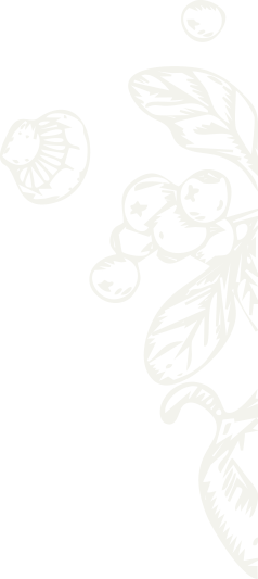 about-two-shape-5.png